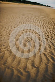 Vertical shot of wrinkles on the sand of the beach