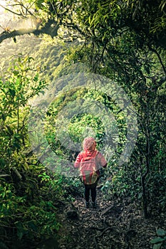 Vertical shot of a young hiker walking along a path with a beautiful landscape on a cloudy morning in the green hills of Escazu photo