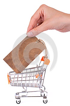 Vertical side profile close up view photo of woman`s hand arm taking pricetag from empty cart isolated on white background copysp