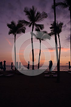 Vertical silhouette of palm trees at the coast of an ocean at sunset in Hawaii