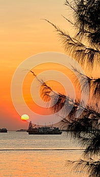 Vertical silhouette of tree and boats with sun and ocean at sunset