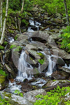 Vertical Smoky Mountain Waterfall Landscape