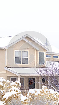 Vertical Snowy home and frosted foliage on a scenic neighborhood landscape in winter