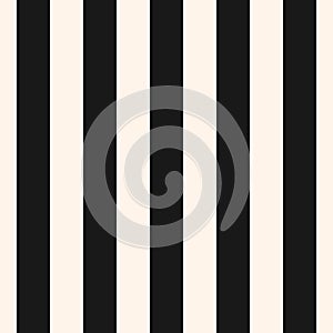 Vertical stripes vector seamless pattern. Wide lines. photo