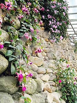 Vertical style landscaping on wall