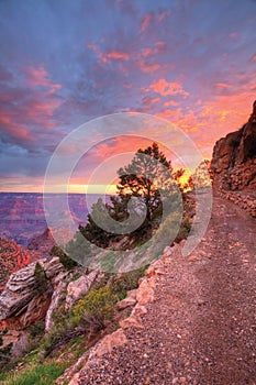 Vertical of Sunset along Grand Canyon trail