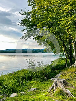 Vertical sunset view of Rockland Lake`s shoreline in Rockland Lake State Park at sunset