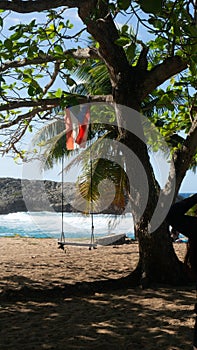 Vertical of a swing hanging on a green tree with Cuban flag on the beach on a sunny day