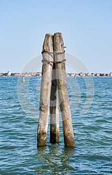 Vertical thick wooden posts called bricole (Venice bricola) on the Grand Canal in Venice photo