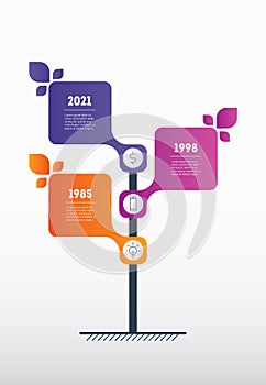 Vertical Timeline or infographics with three parts. The tree of development of the business. Business concept with 3 options,