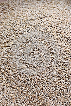 Vertical top view of a pile of rice creates a grainy pattern