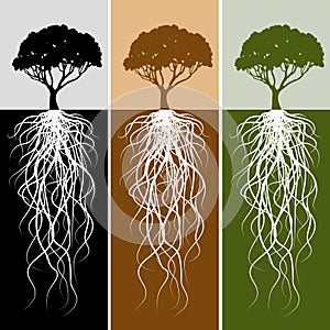 Vertical Tree Root Banner Set