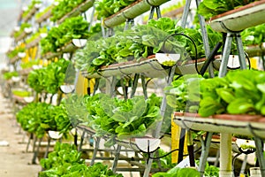 Urban farming technology photo