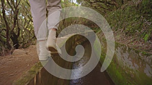 Vertical video. A girl traveler with a backpack and a yellow raincoat walks through the mystical forest Fanal Madeira