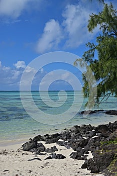 Vertical view of Beautiful Beach with Black Rocks at Ile aux Cerfs Mauritius