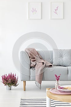 Vertical view of comfortable grey couch in bright living room interior with heather in pot and graphics i