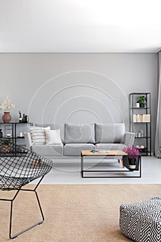 Vertical view of elegant grey living room, real photo with copy