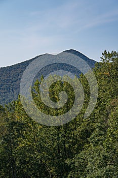 Vertical View of Flat Top Mountain