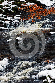Vertical view of the foamy waves of a river flowing down the rocks in daylight in a forest