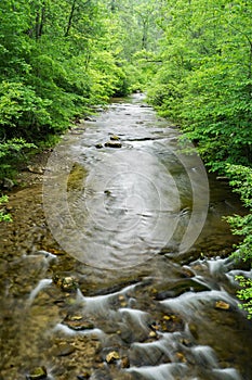 Vertical View of Jennings Creek a Popular Trout Stream