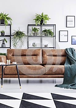 Vertical view of modern coffee house interior with leather settee, small table and plants