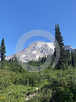 Vertical view of Mount Rainier, a stratovolcano in Washington State under a blue cloudless sky