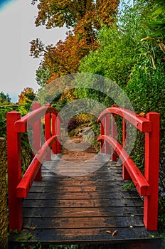 Red Bridge in a Japanese Garden