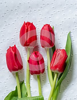 Vertical view of red tulips on lace background with copy space