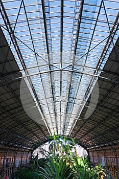 Vertical view of the roof window, in the urban greenhouse of the Atocha train station, Madrid