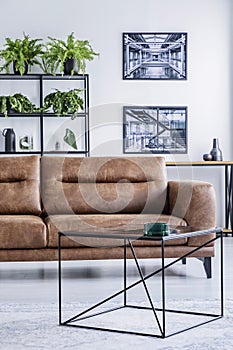 Vertical view of spacious living room with comfortable leather settee, coffee table and industrial posters