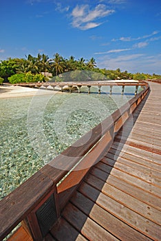 Vertical View of Spacious Wooden Walkway on an Island Paradise