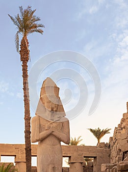 Vertical view of the statue of Ramses II in the temple of Amun-RA in Karnak, Egypt with a palm tree behind