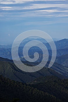 Vertical view of the tree-covered mountains landscape under the blue sky in San Jose del Pacifico photo