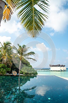 Vertical view of tropical beach with infinity swimming pool and palm trees at island luxury resort
