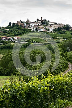 Vertical of Vineyards & Town in Piedmont, Italy