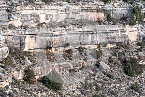 Vertical wall with cliff dwellings in Walnut Canyon National Monument in Arizona