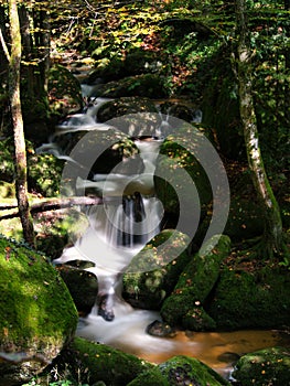 Vertical of a waterfall flowing through mossy rocks in a forest in Bad Kreuzen, Austria photo