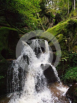 Vertical of a waterfall flowing through mossy rocks in a forest in Bad Kreuzen, Austria photo