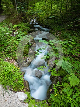 Vertical of a waterfall flowing through rocks in a green forest shot in long exposure