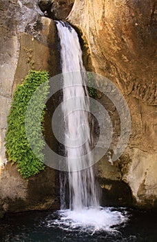 Vertical waterfall with green plants on the side