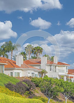 Vertical White puffy clouds Residential homes with orange bricks roofs and palm trees at Sou