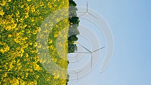 Vertical Wind turbine on grassy yellow farm canola field against cloudy blue sky in rural area. Offshore windmill park