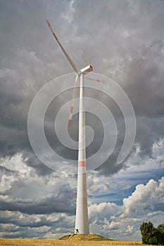 Vertical windmill tower standing tall amongst a golden yellow wheat field on a cloudy day