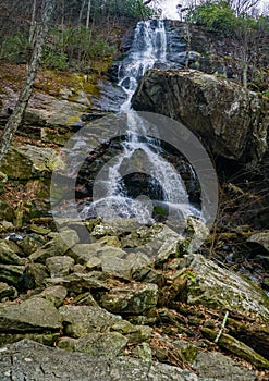 A Vertical Winter Image of Apple Orchard Falls