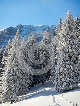 Vertical winter landscape from Bucegi Mountains, Romania