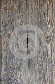 Vertical wood texture background surface with natural pattern