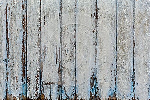 Vertical wooden planks with peeling off white paint. Background, texture