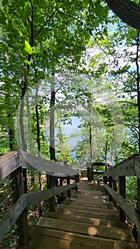 Vertical of wooden stairs going down into a heavenly natural scenery with a lake and leafy trees