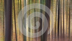 Vertically blurred tree trunks autumn forest background