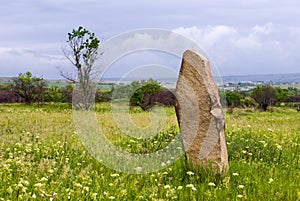 A vertically standing stone in the green steppe